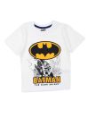 Batman Kleidung von 2 Stück