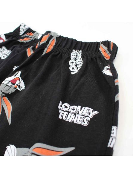 Looney Tunes Clothing of 2 pieces 