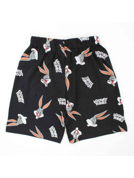 Looney Tunes Clothing of 2 pieces 