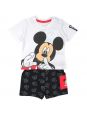Mickey Clothing of 2 pieces with hanger