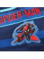Spiderman glove hat