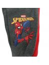 Spiderman Joggers