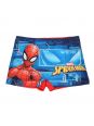 Spiderman swim trunks