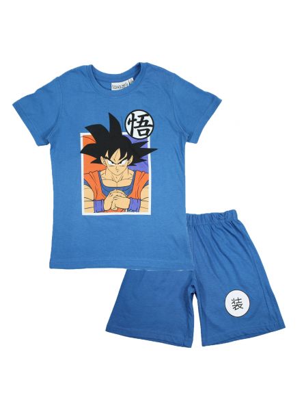 DragonBall Z Clothing of 2 pieces