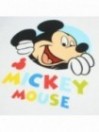 Ensemble sur cintre Mickey