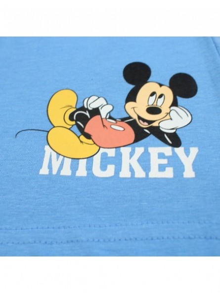Ensemble sur cintre Mickey