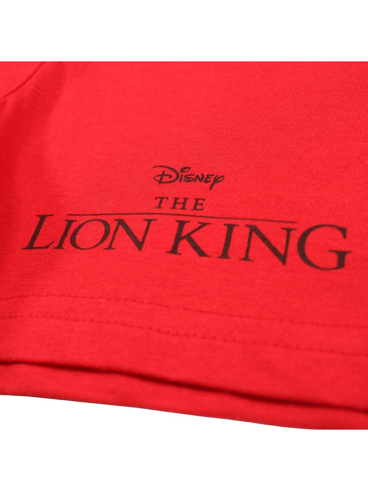 The Lion King set