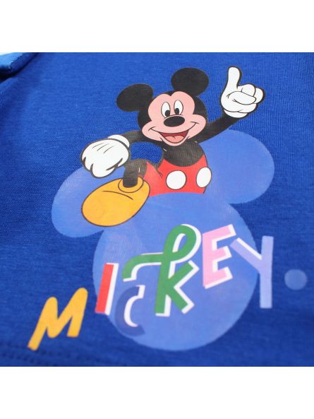 Mickey-set.