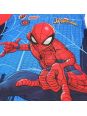 T-shirt spiderman.