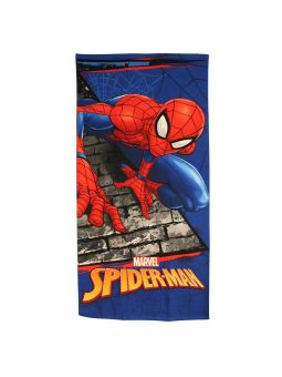 Spiderman towel.