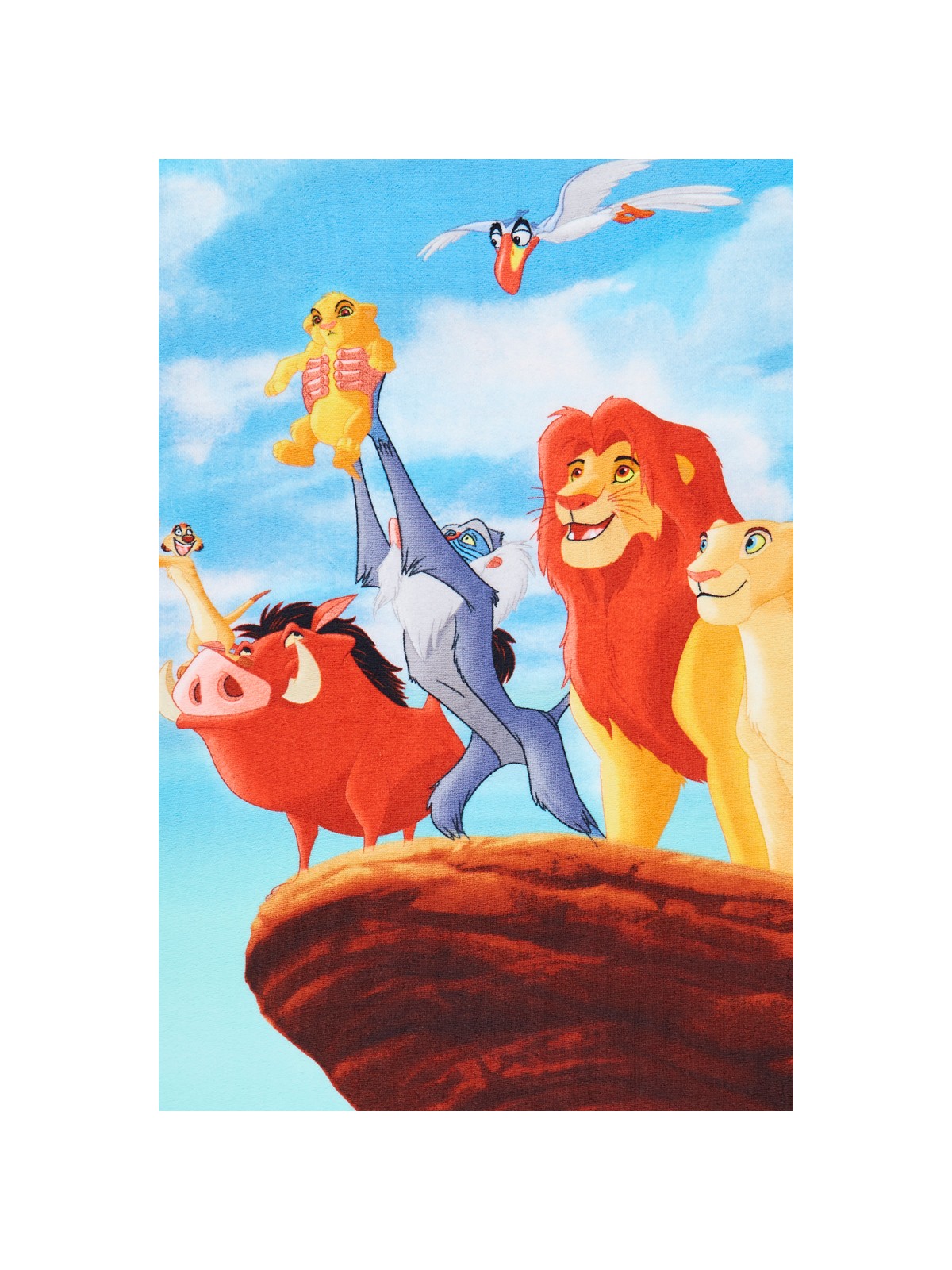 The Lion King Towel