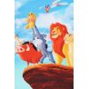 The Lion King Toalla