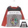 Harry Potter Long sleeve T-shirt