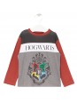 T-shirt Harry Potter