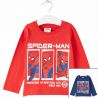 Spiderman Long sleeve T-shirt