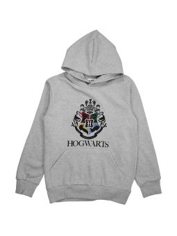 Harry Potter Hooded sweatshirt