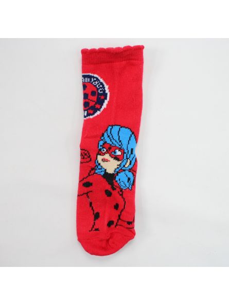 Ladybug Pak van 10 paar sokken