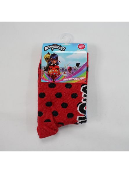 LadyBug Pair of socks